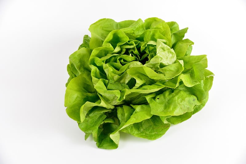 Plant-Powered Meals